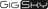 GigSky